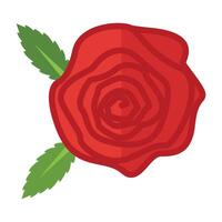 red rose flower icon isolated on white background vector