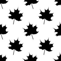 Maple leaf seamless pattern. illustration. vector