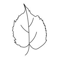 Outline of an Aspen Leaf. vector