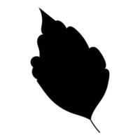 Silhouette of a single leaf on a white background. Black element. . vector