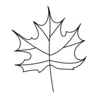 Outline of a Maple Leaf for Autumnal or Seasonal Design vector