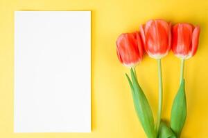 Beautiful red tulips and blank white paper with place for text, yellow background. Flat lay, copy space photo