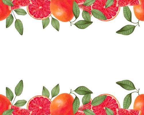 Grapefruit horizontal frame. Whole and pieces of fruit with leaves. Watercolor and marker illustration. Citrus healthy food for vegans. Seamless border. Hand drawn isolated background. Vitamin C
