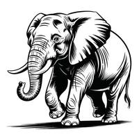 Black and white illustration of a walking elephant with tusks and trunk vector