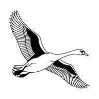 Black and White Illustration of a Flying Swan in Profile vector