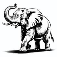 Black and white illustration of an elephant walking with trunk raised vector