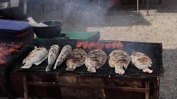 Fish being grilled over charcoal at a market. video