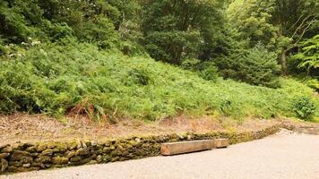 A scenic pathway surrounded by dense green foliage video