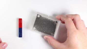 Hands manipulate a magnet over iron filings, illustrating magnetic field patterns. Bright lighting enhances visibility of the scientific demonstration video