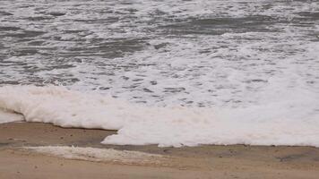 Foamy waves gently wash over a sandy beach, creating a rhythmic and calming coastal scene video