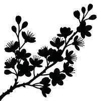 Black silhouette of cherry blossom branch with flowers and buds on white background vector