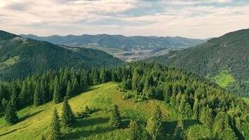 Aerial view Mountain Landscape With Dense Pine Forest, Aerial View of Hills, Trees and Distant Village Under Blue Sky video