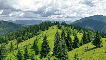 Sunny Mountain Landscape With Dense Forest, Aerial View of Green Hills and Dramatic Clouds Over Carpathian Ranges video