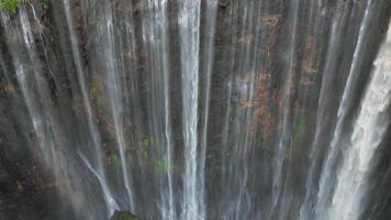 Close-up aerial view of multiple waterfall streams plunging down steep cliff walls at Tumpak Sewu in East Java, Indonesia, surrounded by mossy rock. video