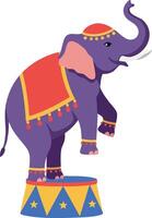 Purple circus elephant balancing on colorful decorated platform with red and yellow cloth and festive tassels illustration vector