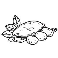 A hand drawn vintage art silhouette illustration of a pile of almonds and potato-shaped nuts with leaves in a black and white style vector
