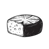 Detailed vintage art silhouette illustration of a delicious cheese wheel with holes and hand drawn hatch marks against a bright white background. vector