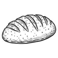 Hand drawn loaf of bread showcasing vintage art silhouette style in intricate black and white illustration perfect for bakery and food design projects. vector