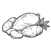 illustration of a collection of detailed vintage art silhouette potatoes and potato slices with leafy foliage vector