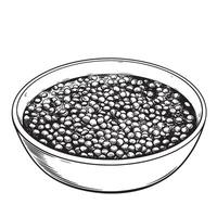 Detailed vintage art illustration showing a bowl filled with lentils a classic silhouette of a healthy food preparation for culinary and cooking concepts vector