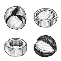 Detailed hand drawn engineering ornament set depicting nuts and bolts in black and white vector