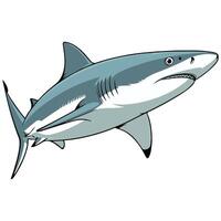 Fierce shark emoji minimalist aquatic predator isolated illustration on white background vector