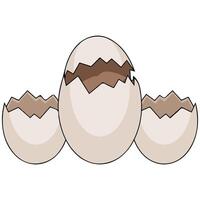 Reptile eggs half hidden in beach sand nature vector
