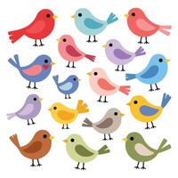 Adorable birds collection wildlife vector