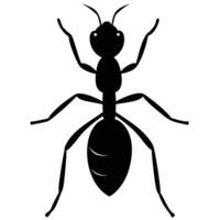 Black silhouette of an ant with detailed body segments and antennae insect illustration vector