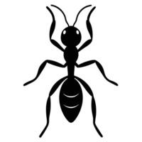 Black silhouette of an ant with antennae and segmented body insect vector