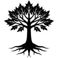 Black maple tree with detailed leaves and spreading roots vector