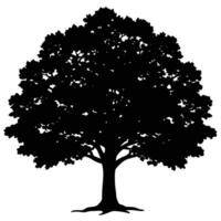 Black silhouette of a large deciduous tree with sprawling branches and visible roots white vector