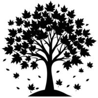 Black silhouette maple tree falling leaves autumn maple leaves vector