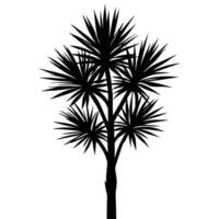 Silhouette of spiky plant with multiple branches black vector
