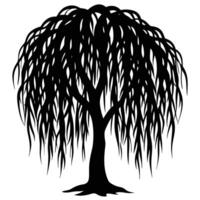 Black silhouette of a weeping willow tree with flowing branches white vector