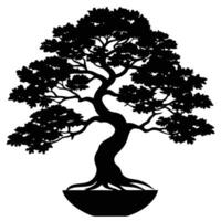 Black silhouette of a mature bonsai tree with detailed branches and foliage white background vector