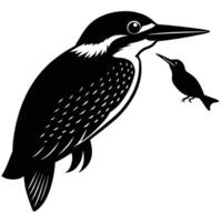Kingfisher bird hunting small bird black and white vector