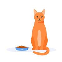 Pet does not eat food in bowl. Red domestic cat being selective and persnickety. Pet not eating kibble or wet food. Feeding pet problem. vector