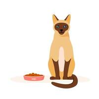 Siamese cat and bowl with food. Domestic cat does not eat kibble or wet food. Feeding pet problem. Flat style vector