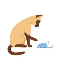 Siamese cat playing with toy mouse. Activity for indoor pet. Cat supplies and accessories. Flat style vector