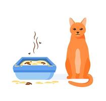 Cat not using dirty litter box. Wrong way to maintain cat toilet. Pet toilet hygiene concept vector