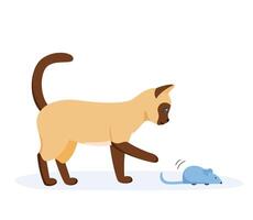 Siamese cat playing with automatic toy mouse. Activity for indoor pet. Interactive cat supplies and accessories. Flat style vector