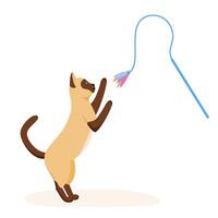 Siamese cat playing with feather toy wand. Game activity for indoor pet. Cat supplies and accessories. Flat style vector