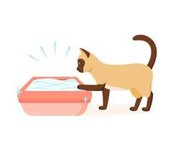 Siamese cat using clean litter box. Right way to maintain cat toilet. Pet toilet hygiene concept. illustration vector