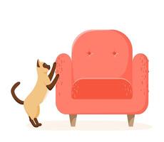 Siamese cat scratching chair. Nasty kitten destroying home furniture with claws. Bad behaved pet tearing sofa. Flat style vector
