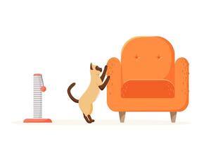 Cat scratching chair but not scratching post. Siamese kitten destroying home furniture with claws. Bad behaved pet tearing sofa. Flat vector