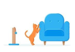 Cat scratching chair but not scratching post. Nasty kitten destroying home furniture with claws. Bad behaved pet tearing sofa. Flat vector
