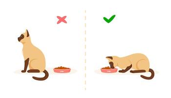 Cat with good and bad appetite. Picky cat refusing to eat and hungry cat eating food in bowl. Feeding pet problem concept. Flat style vector