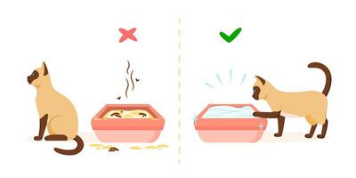 Dirty and clean cat litter box. Wrong and right way to maintain pet toilet. Pet toilet hygiene concept vector