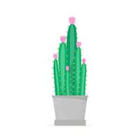 Flowering cactus. Blossomed house succulent in pot vector